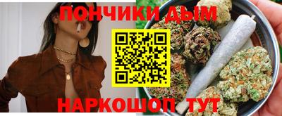 индика Обь