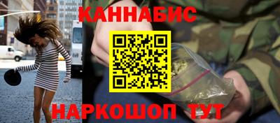 индика Обь